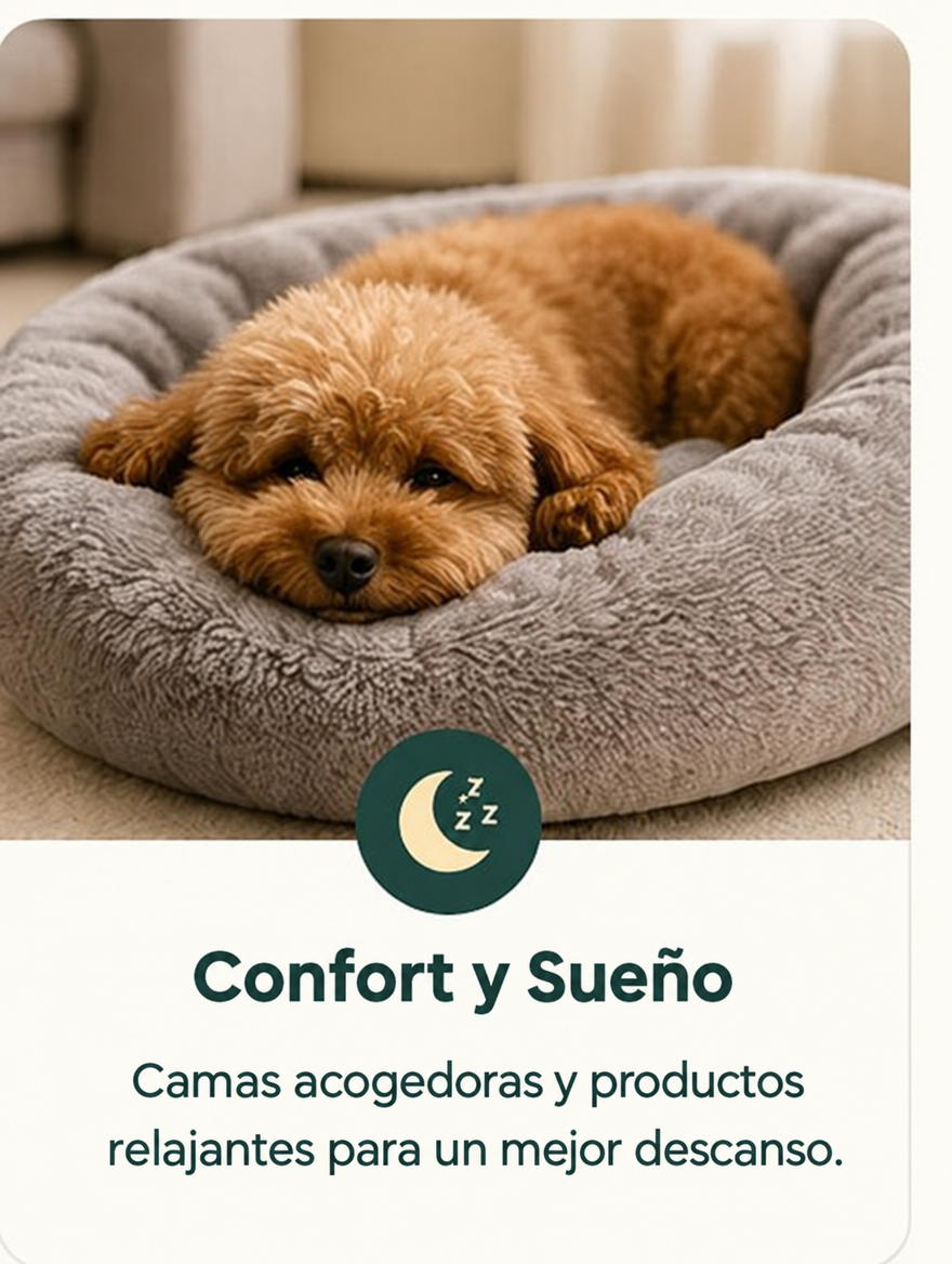 Confort y Sueño