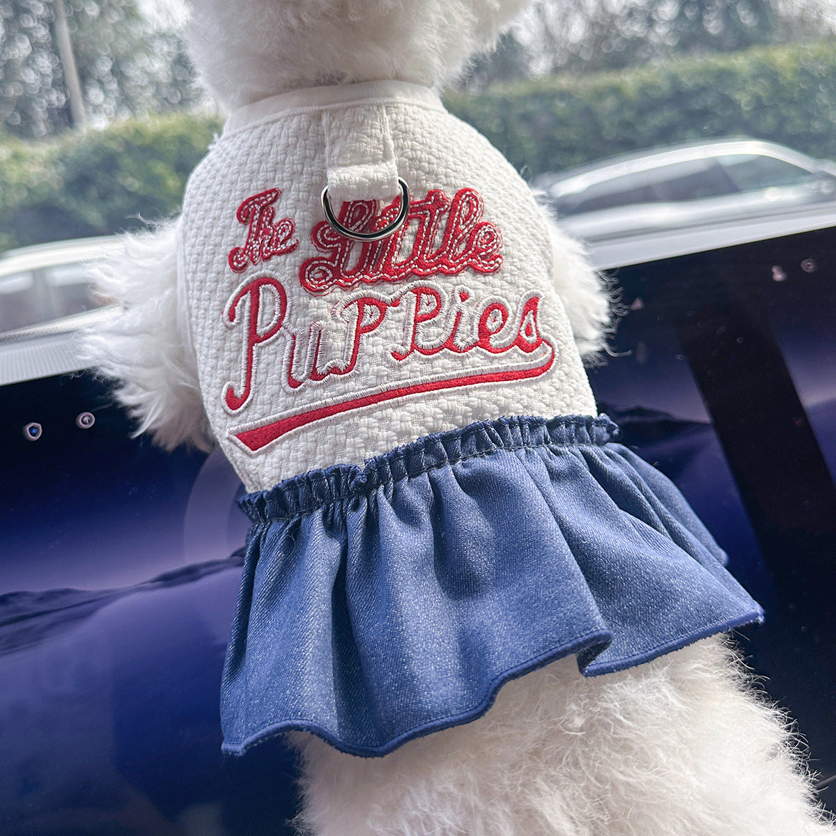 Pet Denim Skirt | Cute Summer Dress for Small Dogs & Cats – product image 32 | Pawnests