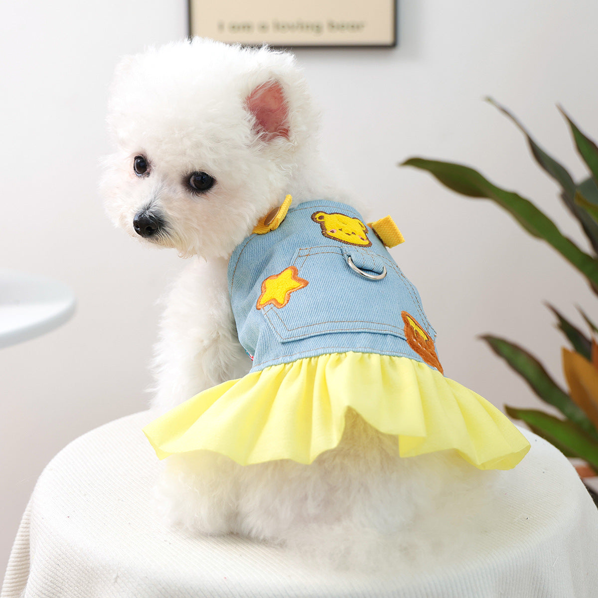 Pet Denim Skirt | Cute Summer Dress for Small Dogs & Cats – product image 41 | Pawnests