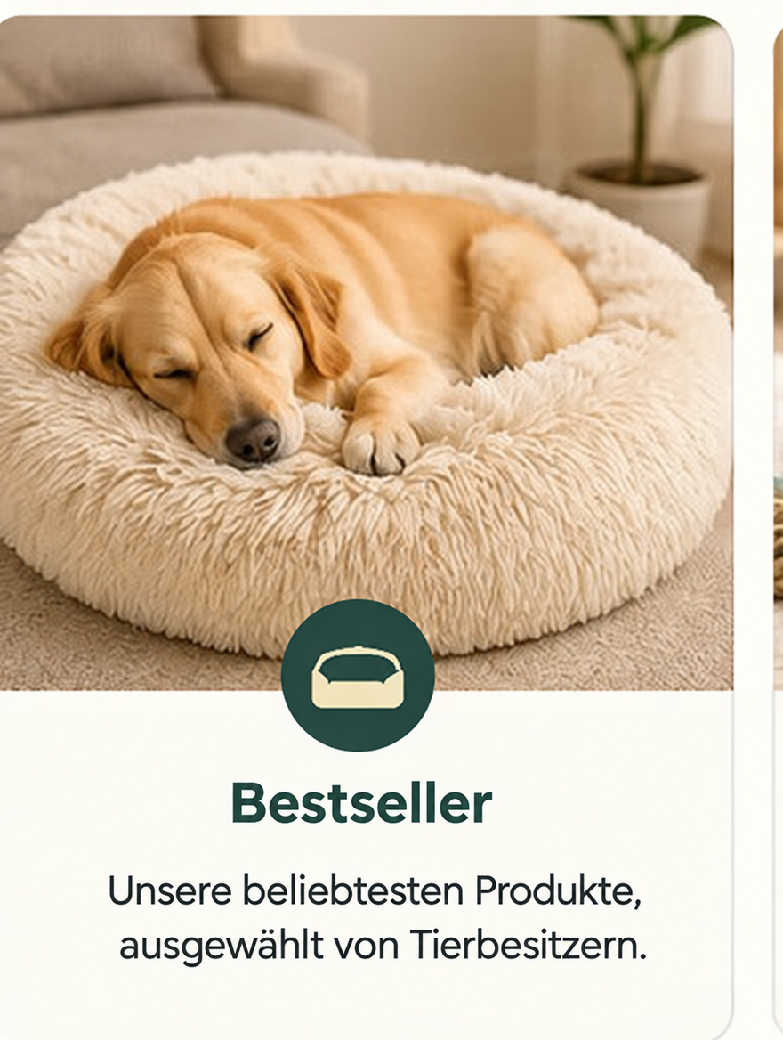 Bestseller