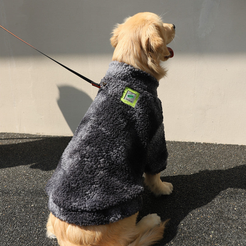 Dog winter coat front view on white background — Pawnests