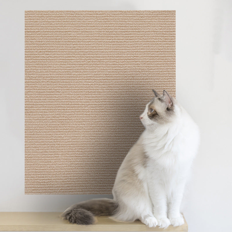 Cat scratch protector applied to door edge | Pawnests