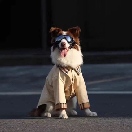Dog wearing breathable shirt on walk — khaki large dog apparel | Pawnests