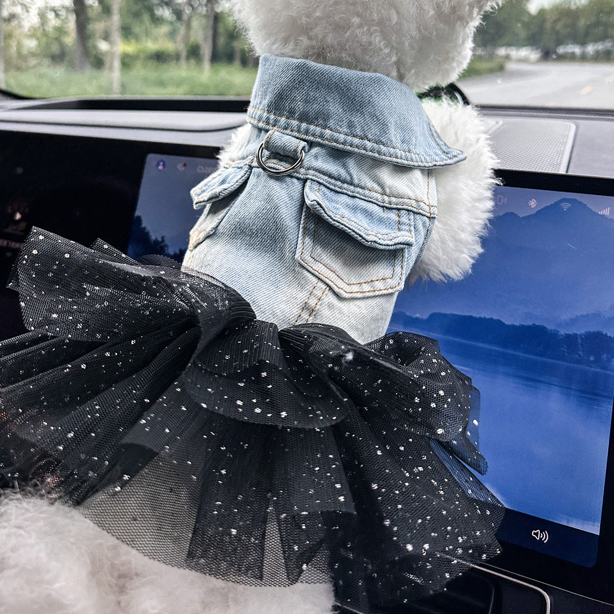 Pet denim skirt washing care instructions | Pawnests