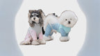 Combinaison en maille pour animaux | Tenue d'été respirante 4 pattes pour chiens et chats
