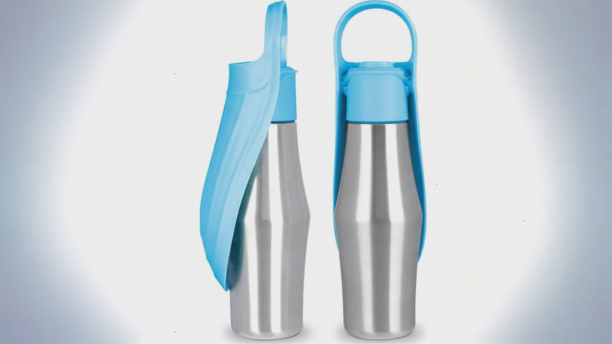 Botella de Agua para Perros | Botella de Viaje de Acero Inoxidable Aislada para Perros y Gatos